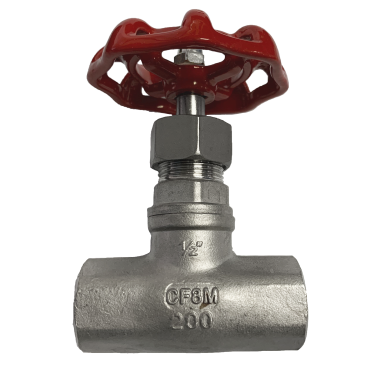 BSPT threaded SS316 globe valve showing the British standard taper pipe thread