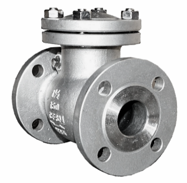 ANSI 150 SS316 swing check valve showing the bolted bonnet and gasket joint