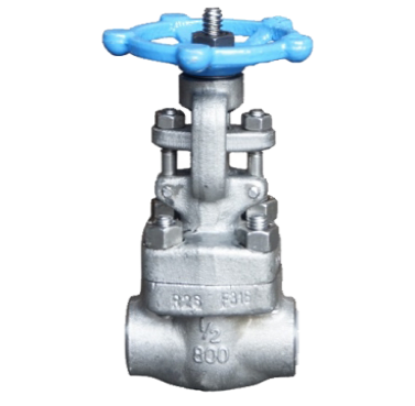 Threaded SS316 gate valve rated 800 PSI, side elevation with handwheel