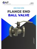 AF Hydro ANSI 150 stainless steel flange end ball valves catalogue cover