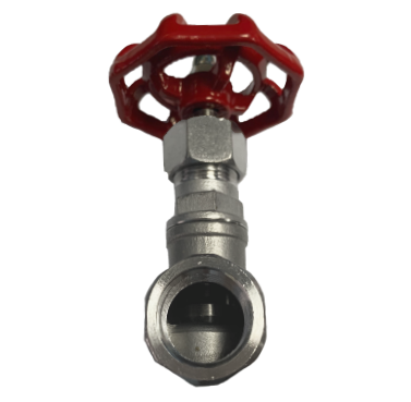 NPT threaded SS316 globe valve showing the tapered pipe thread
