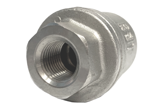 Stainless steel spring check valve showing the screwed cap end of the body