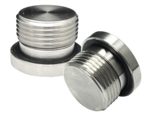 Two stainless steel hex socket head plugs with a bonded seal on the shoulder
