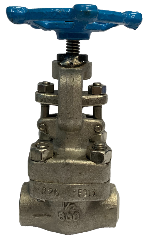 NPT threaded SS316 globe valve, 800 PSI, showing the bonnet, gland flange and eyebolt