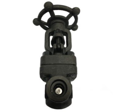 Socket weld forged steel A105 gate valve rated 800 PSI, side elevation