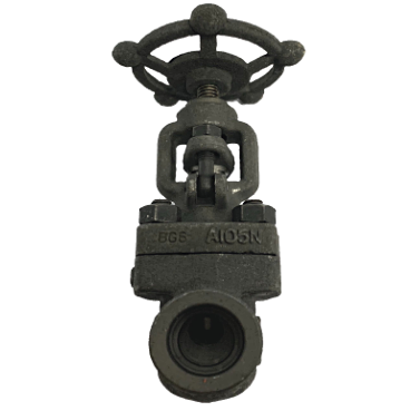 Socket weld forged steel globe valve, 800 PSI, side elevation showing the handwheel