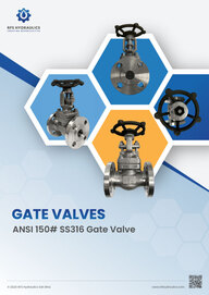 ANSI 150# SS316 Gate Valves